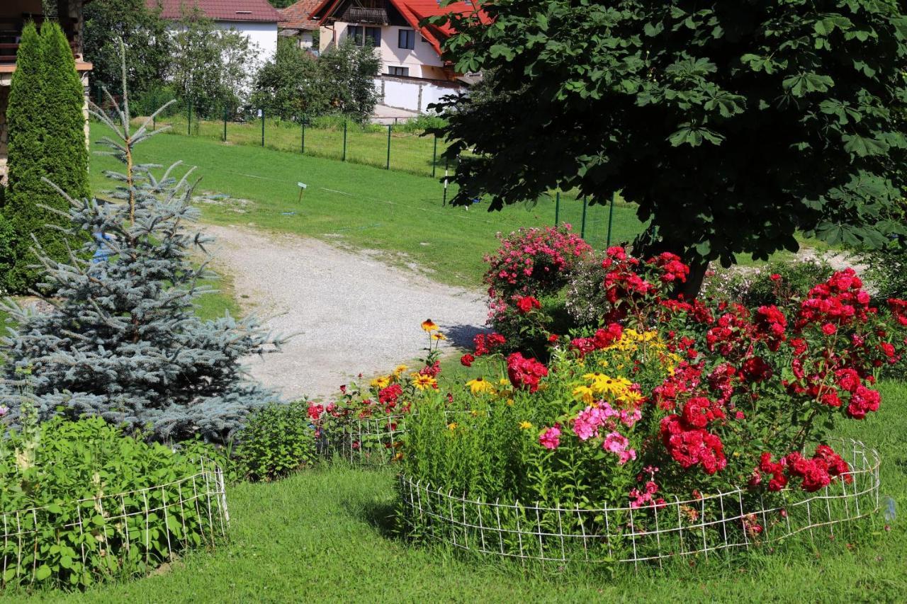 Pensiunea Dealul Frumos Bran  Buitenkant foto