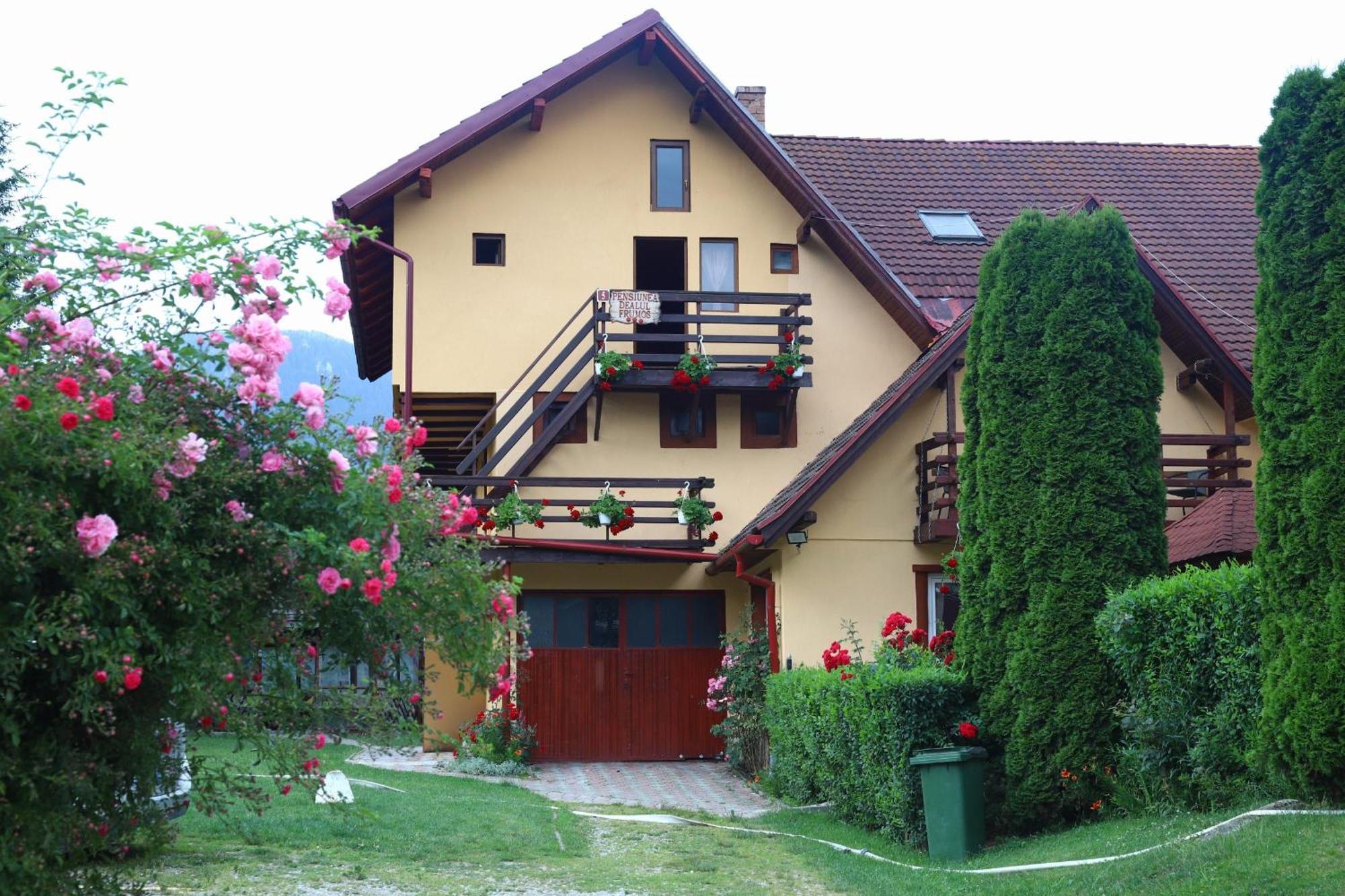Pensiunea Dealul Frumos Bran  Buitenkant foto