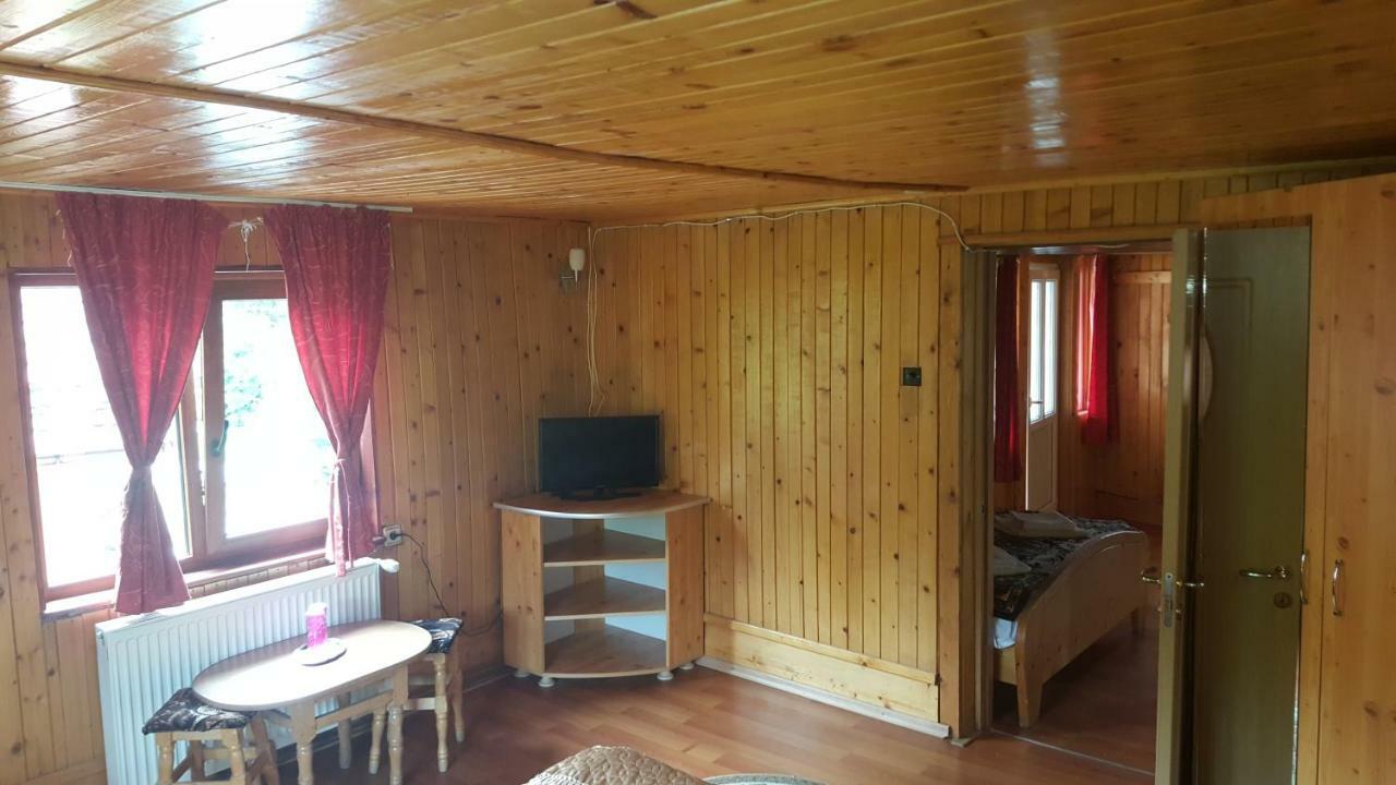 Pensiunea Dealul Frumos Bran  Buitenkant foto