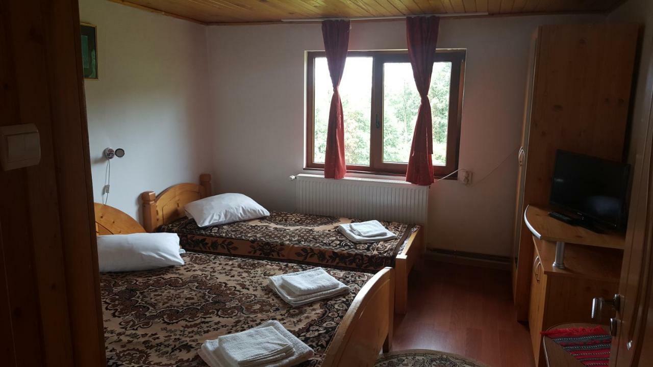 Pensiunea Dealul Frumos Bran  Buitenkant foto